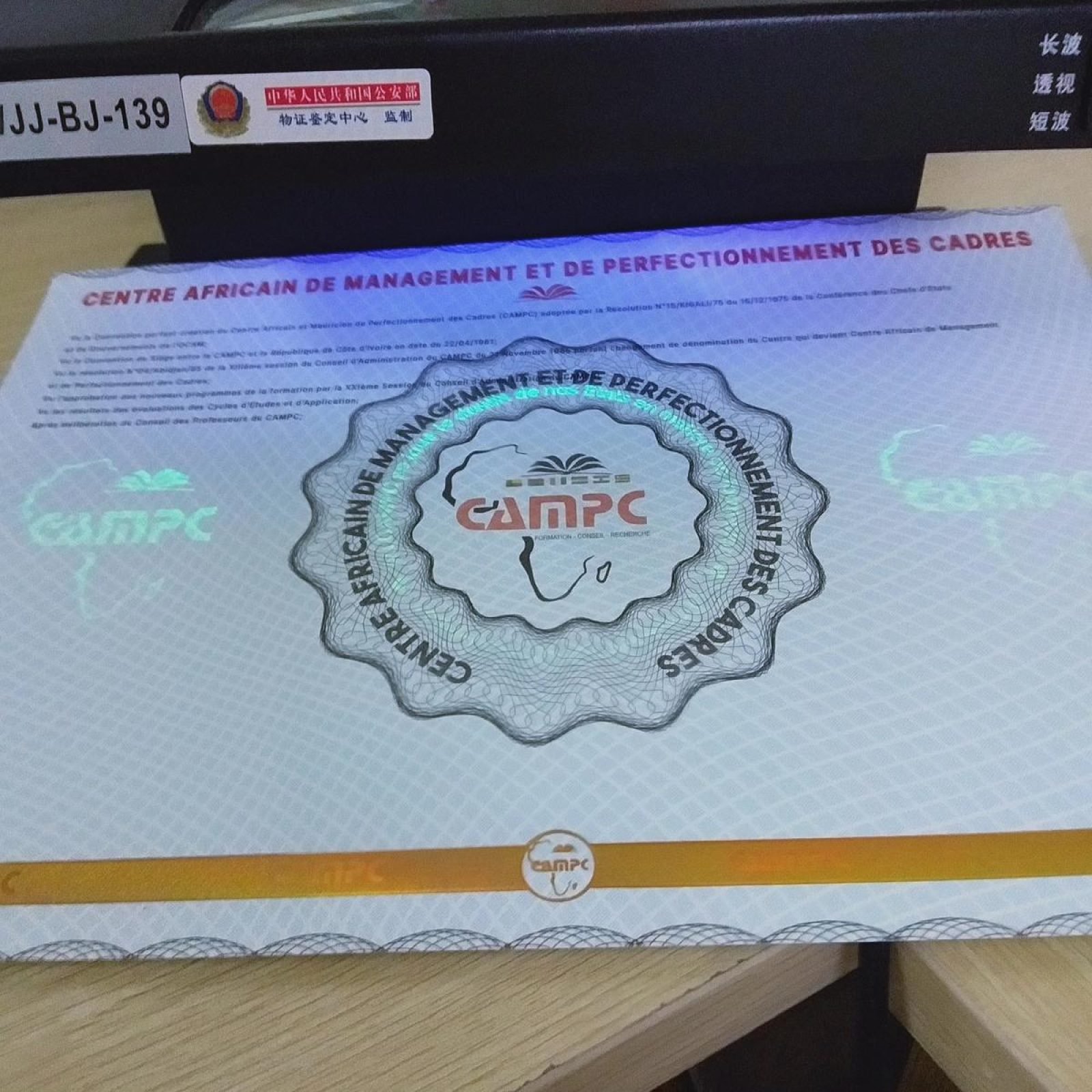 WhatsApp Image 2024-12-11 at 14.00.40(1)