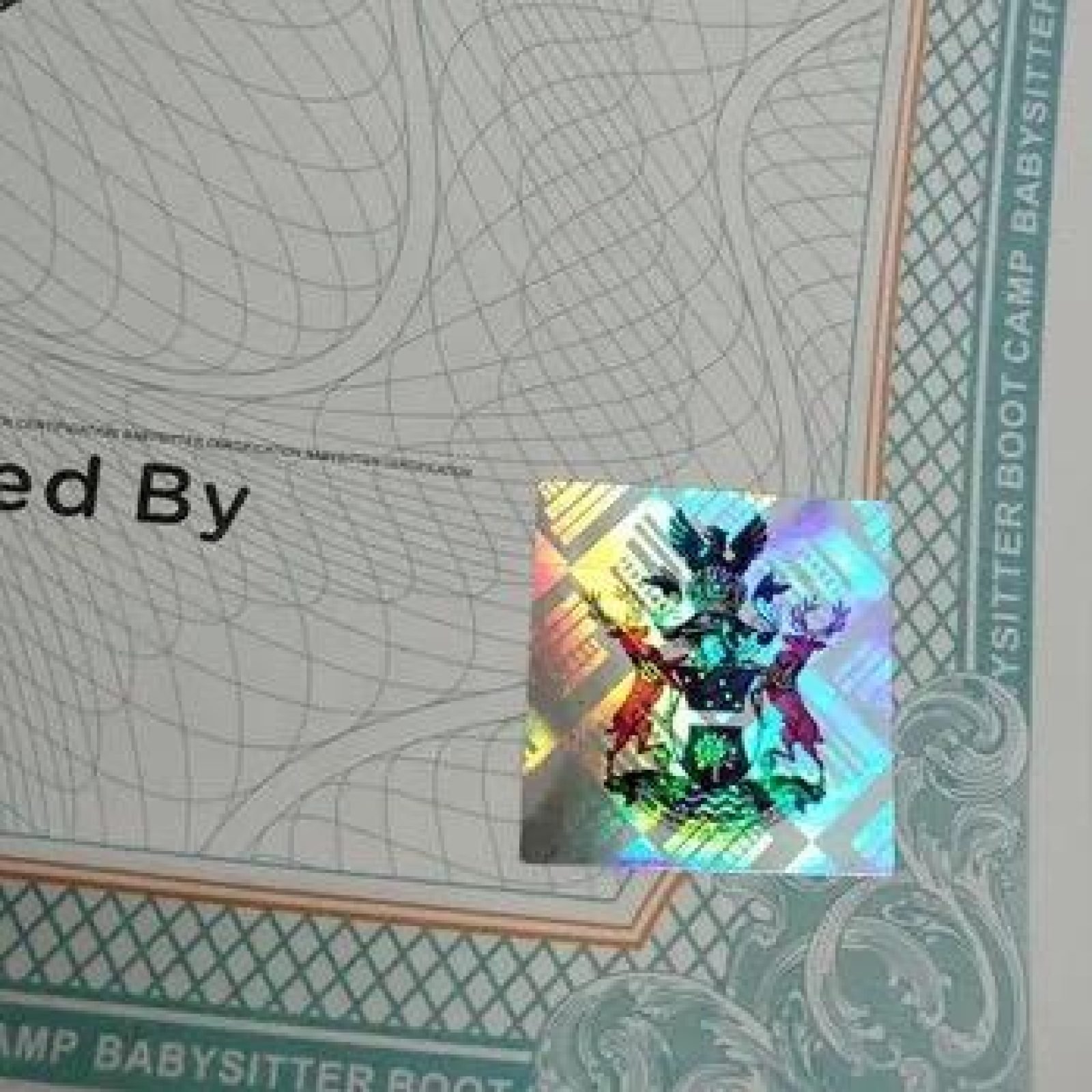 WhatsApp Image 2024-12-11 at 14.00.41