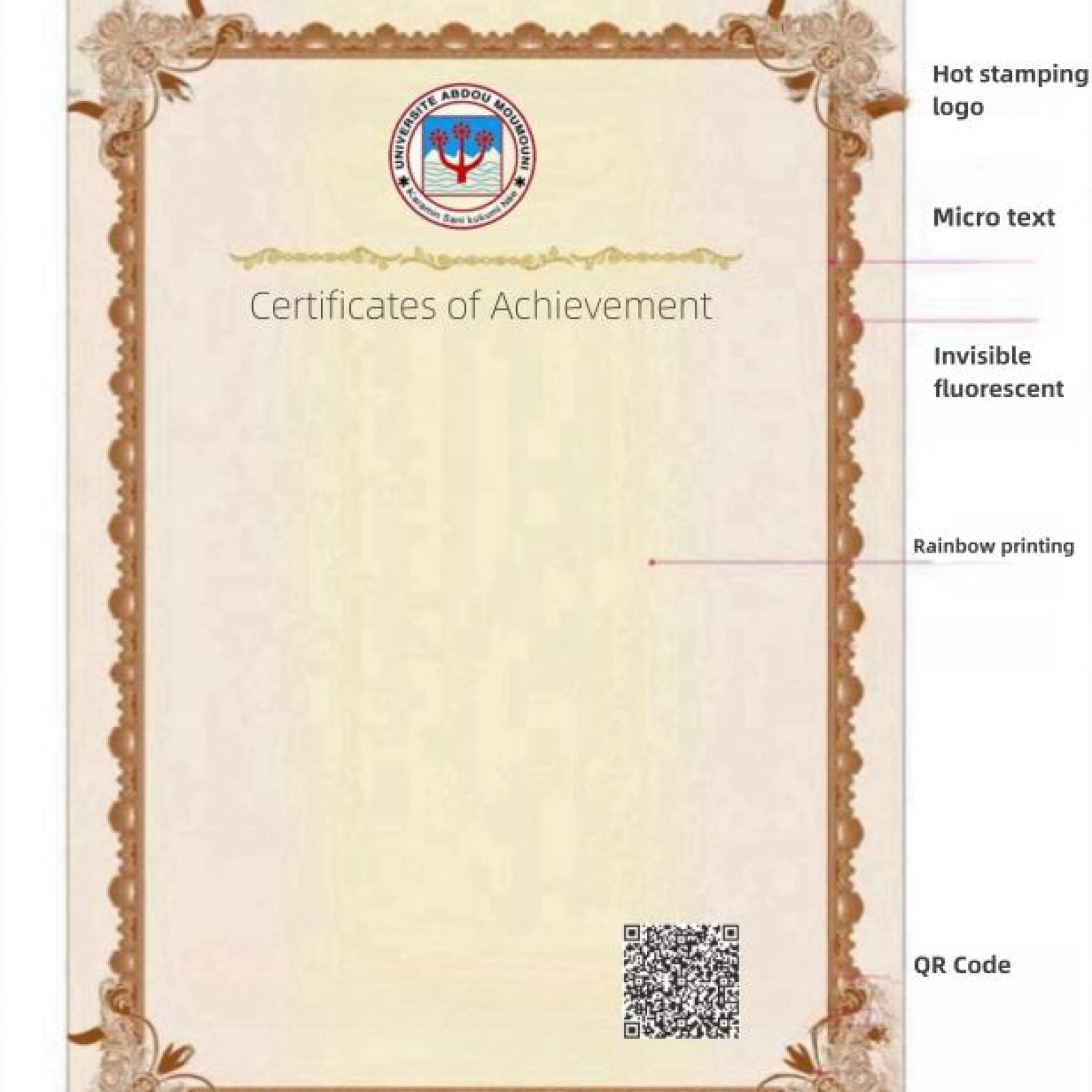 WhatsApp Image 2024-12-13 at 14.23.10