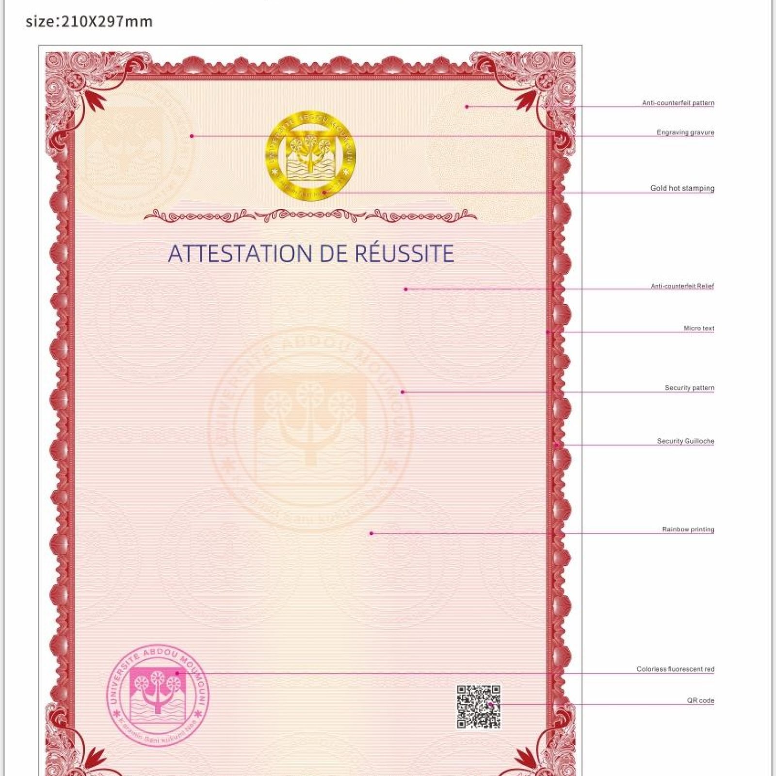 WhatsApp Image 2024-12-13 at 14.23.10(1)